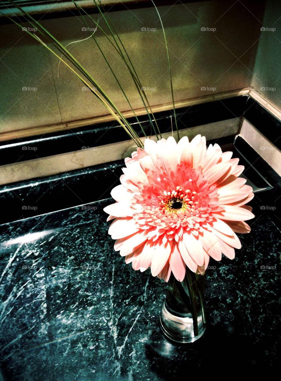Flower over the marble 