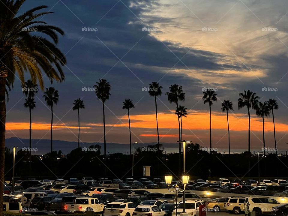 Beautiful sunset over the Fashion Island parking lot with a palm tree in front of it