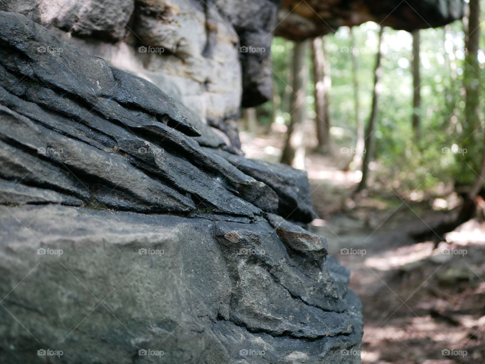 Trail at Coopers Rock, West Virginia