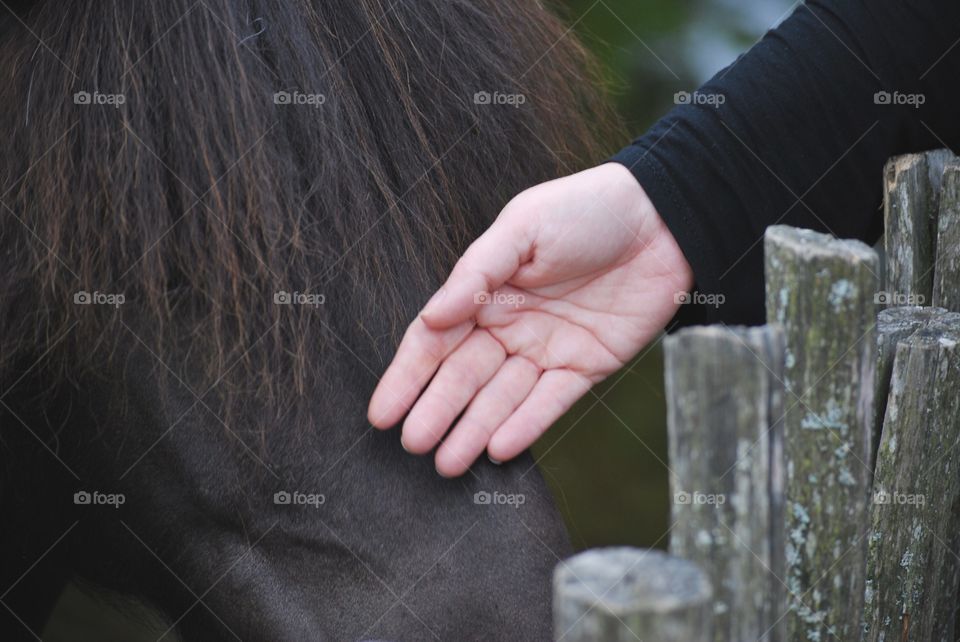 Human hand