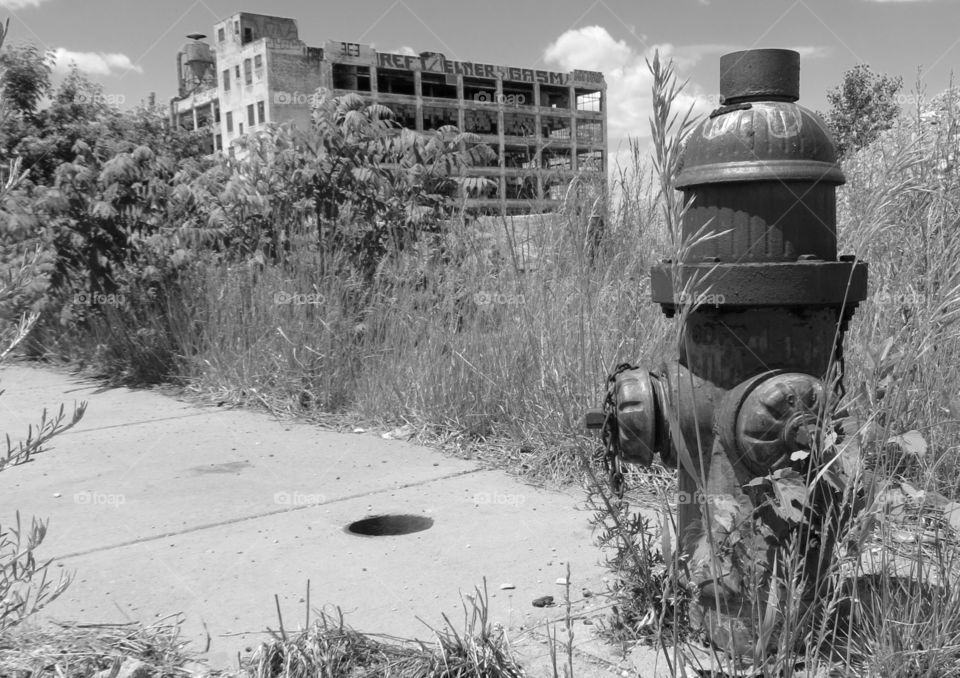 Fire hydrant at Fisher Body Plant 21, Detroit 