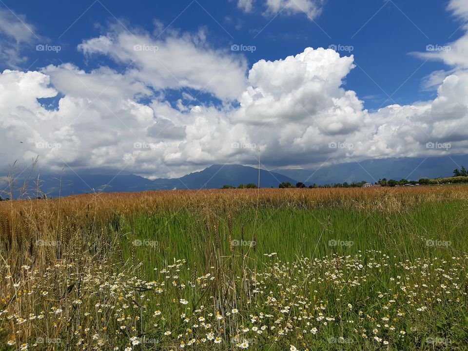 white clouds in a blue sky