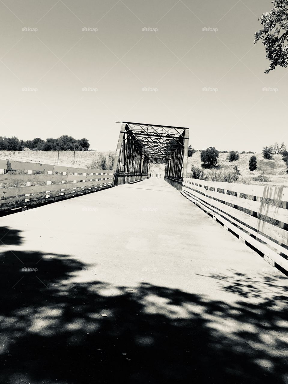 Old La Grange Bridge 