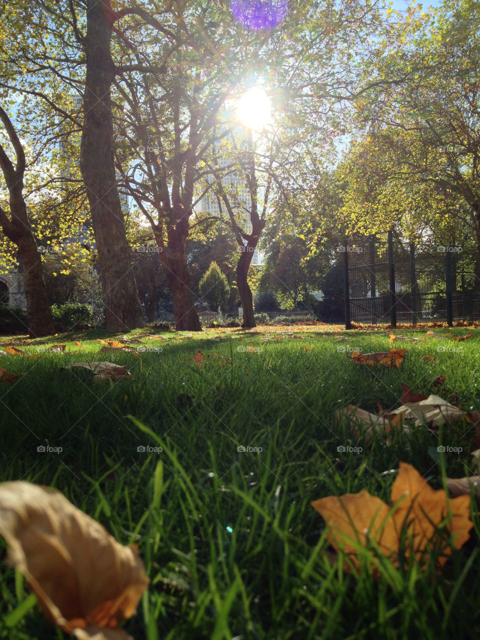 london park autumn mission5 by alexchappel