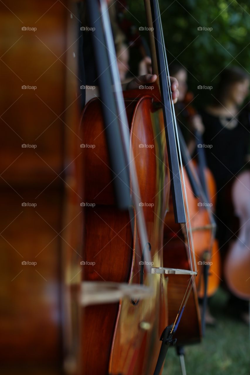 Wood, Violin, Music, Cello, No Person