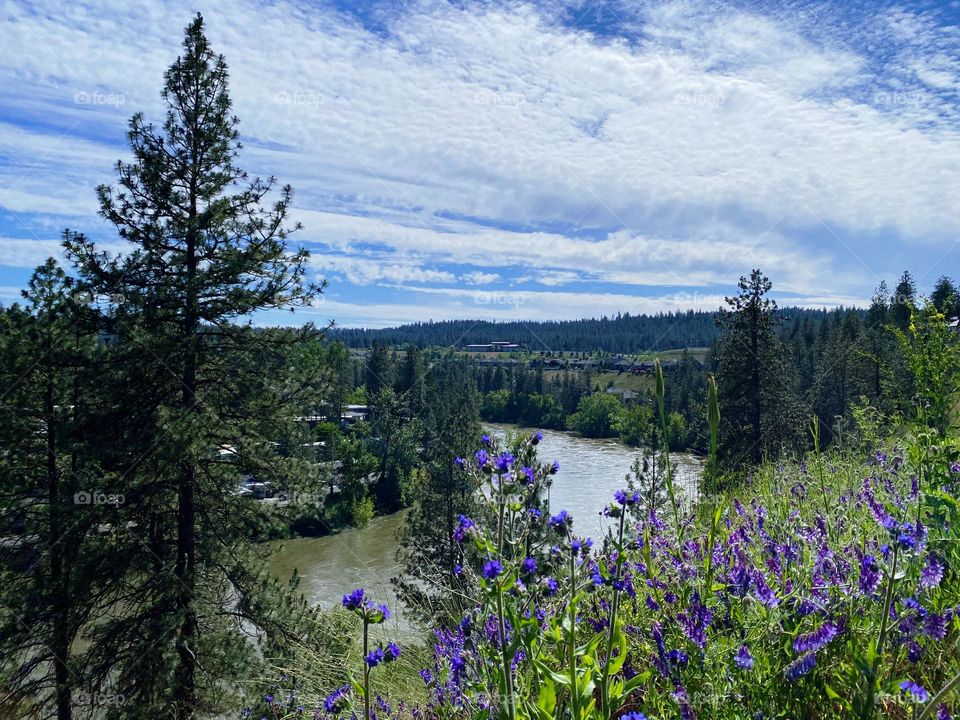 Pacific Northwest view 