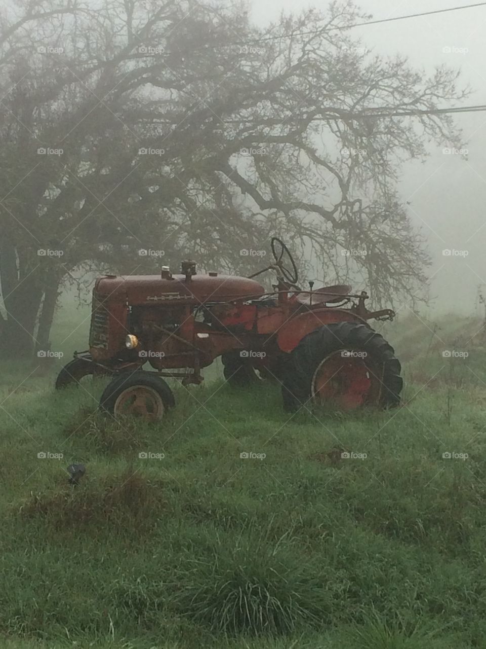 Old Tractor in fog