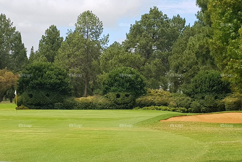 circular bushes with faces on a golf course