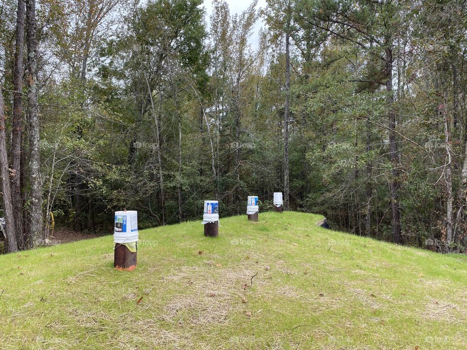 Progress- grass growing on storm shelter 