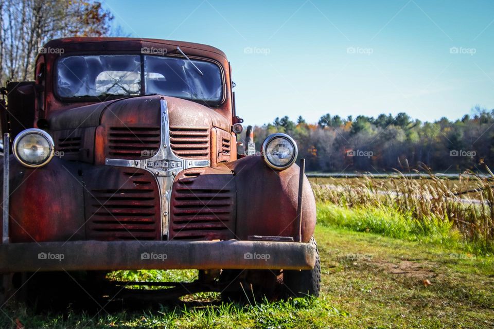 Old truck in a field