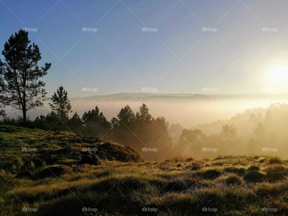 Foggy morning sunrise