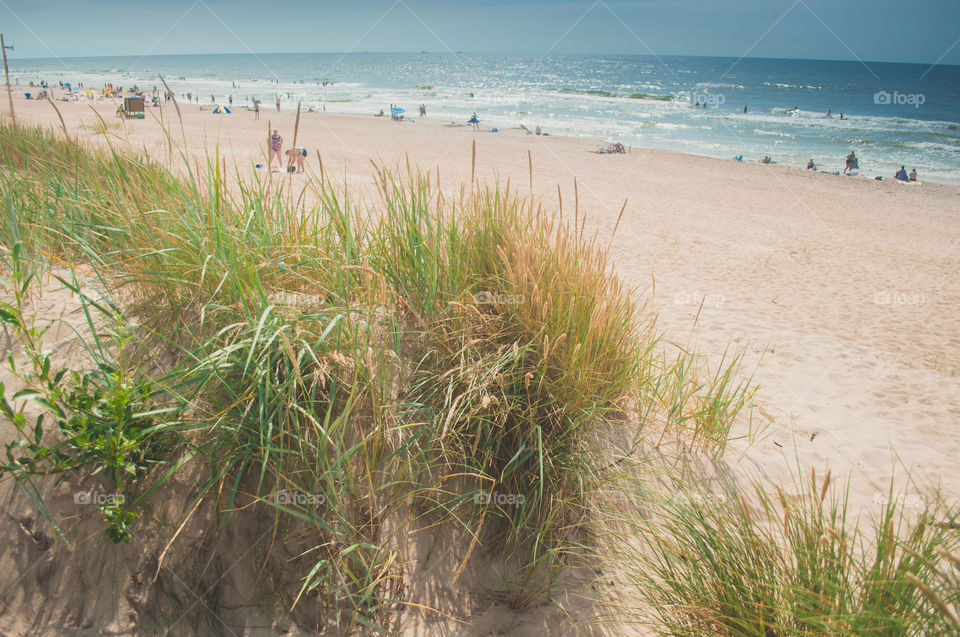 Dunes and sea 