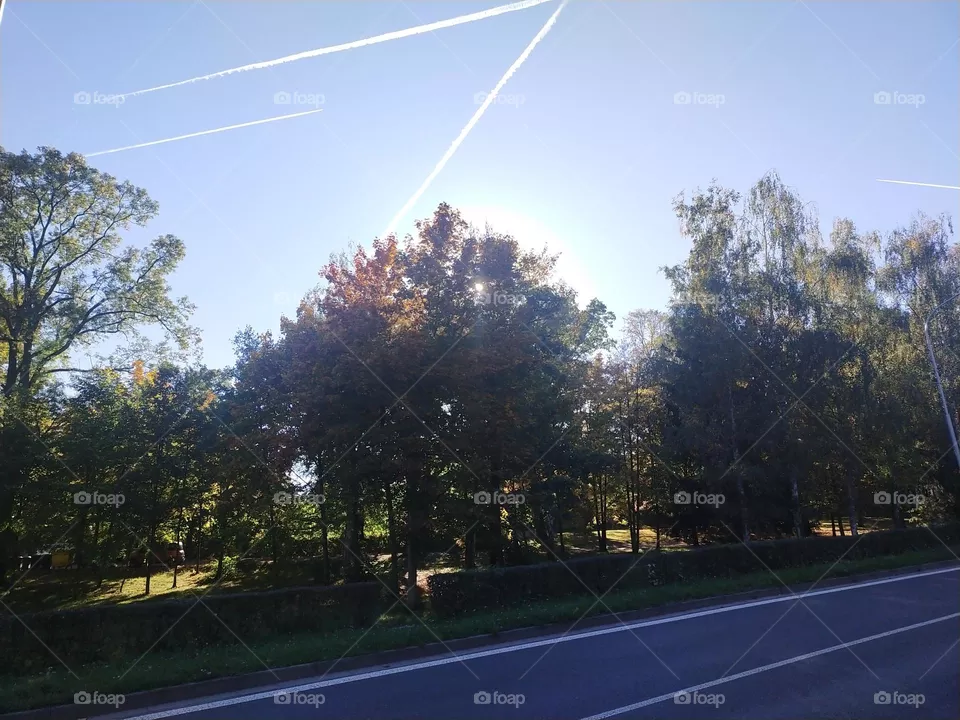 October sunshine