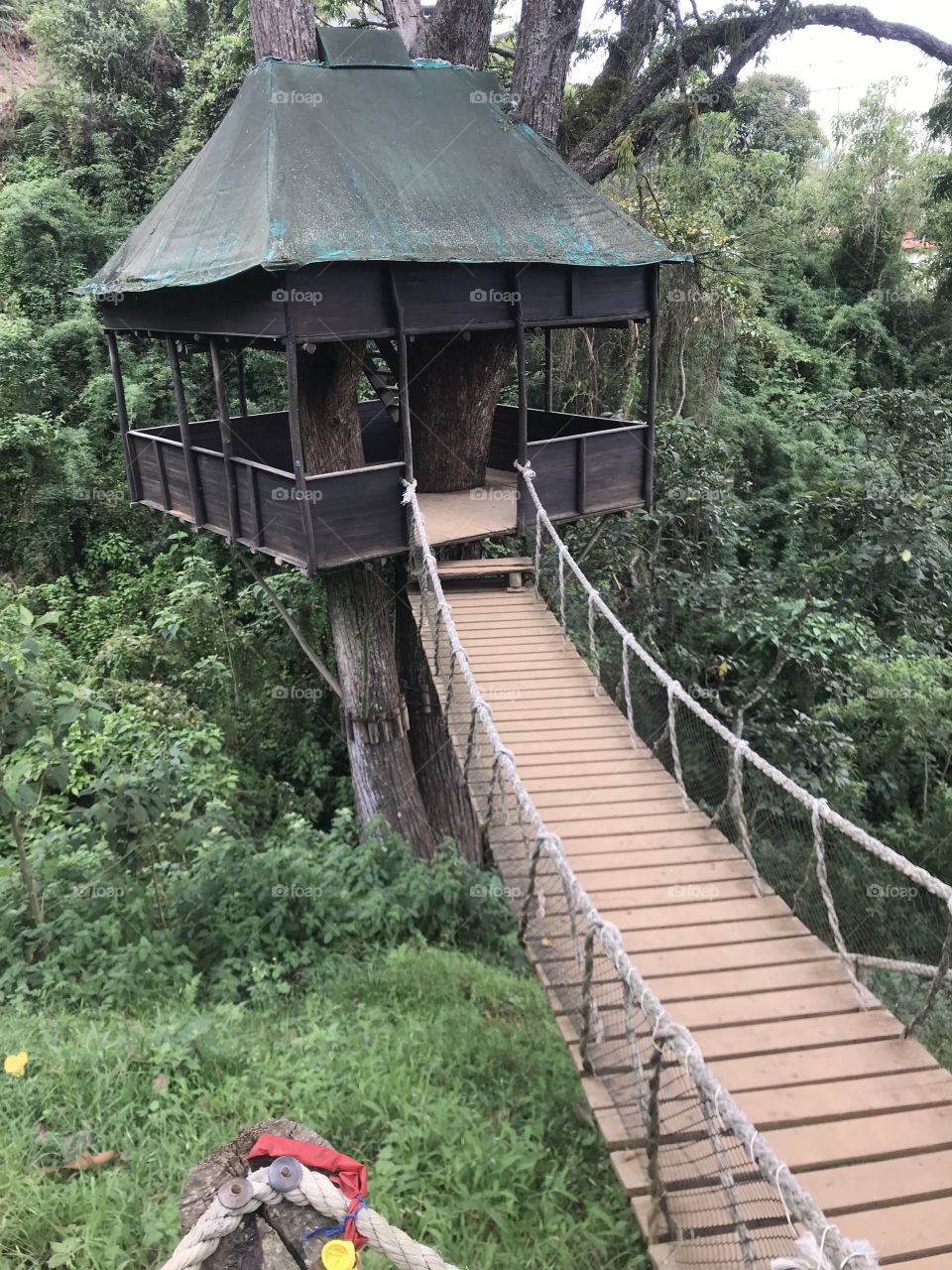 Tree House, Colonia Tovar. Venezuela