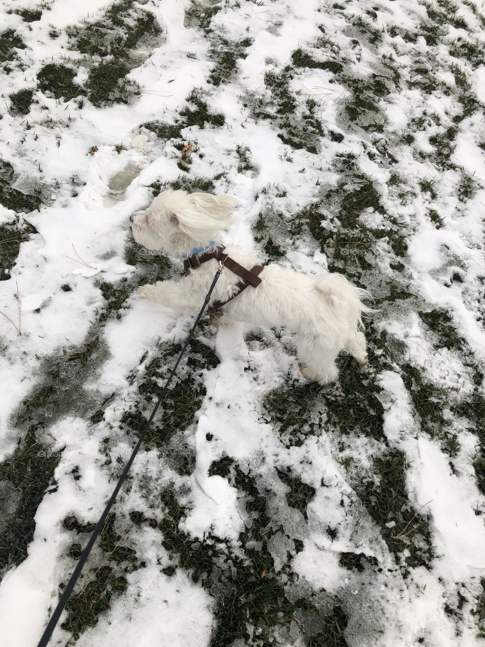 Walking around the park with my best friend in a snowy day