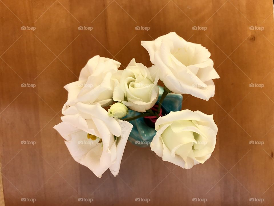 Roses from above on wooden table 