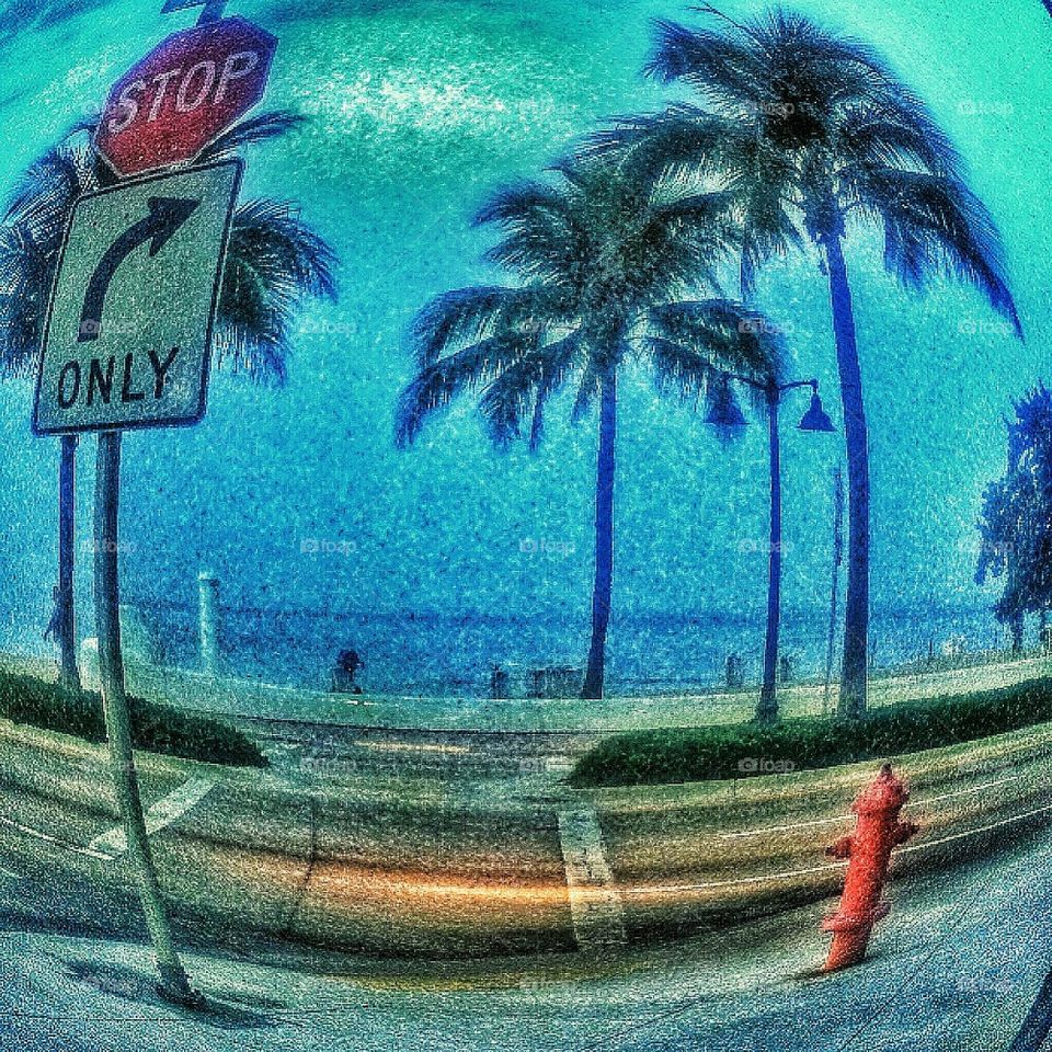 Ft Lauderdale Beach