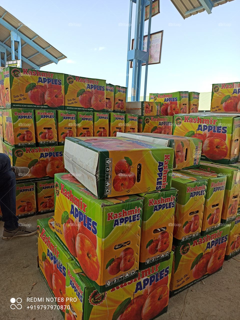 Apple & Pears filled  cardboard boxes for sale & ready for loading on  Trucks in Apple Market  Aglar Shopian ( Apple town Shopian) Kashmir India... This  year's  season of Apple marketing has started...