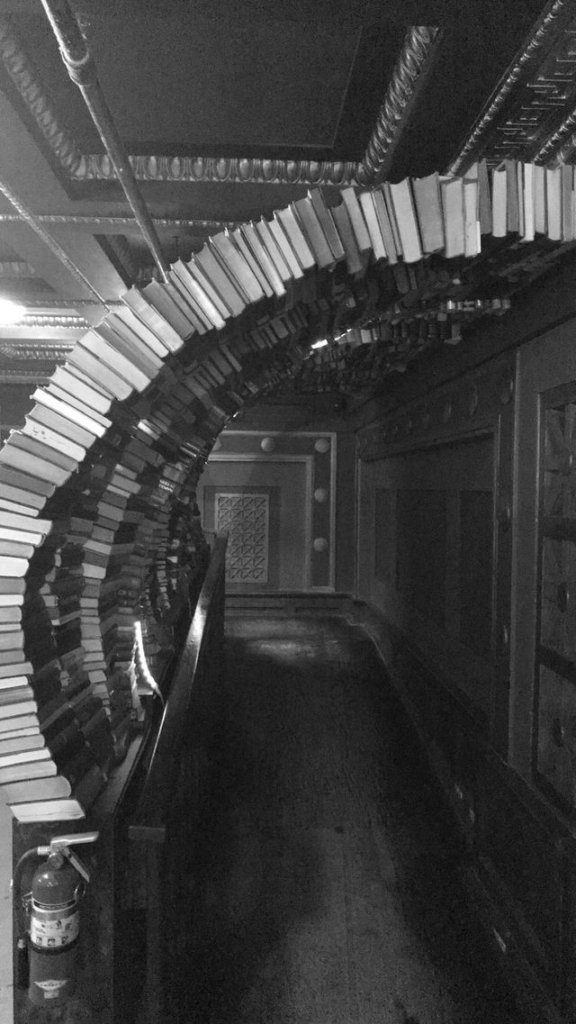 The last bookstore 