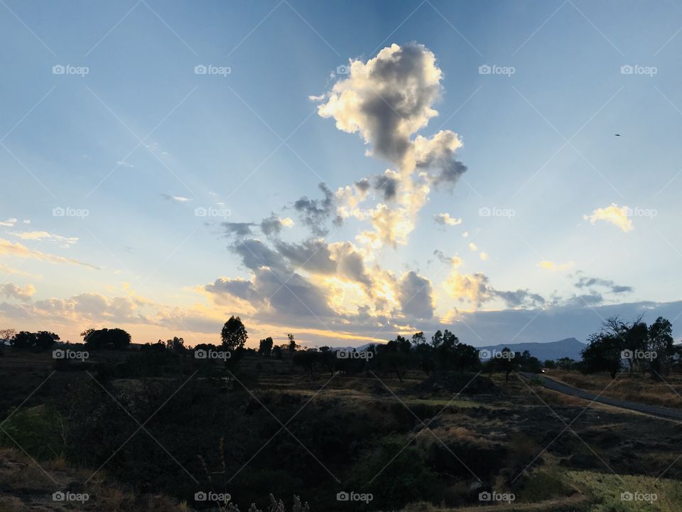 The natures timeline