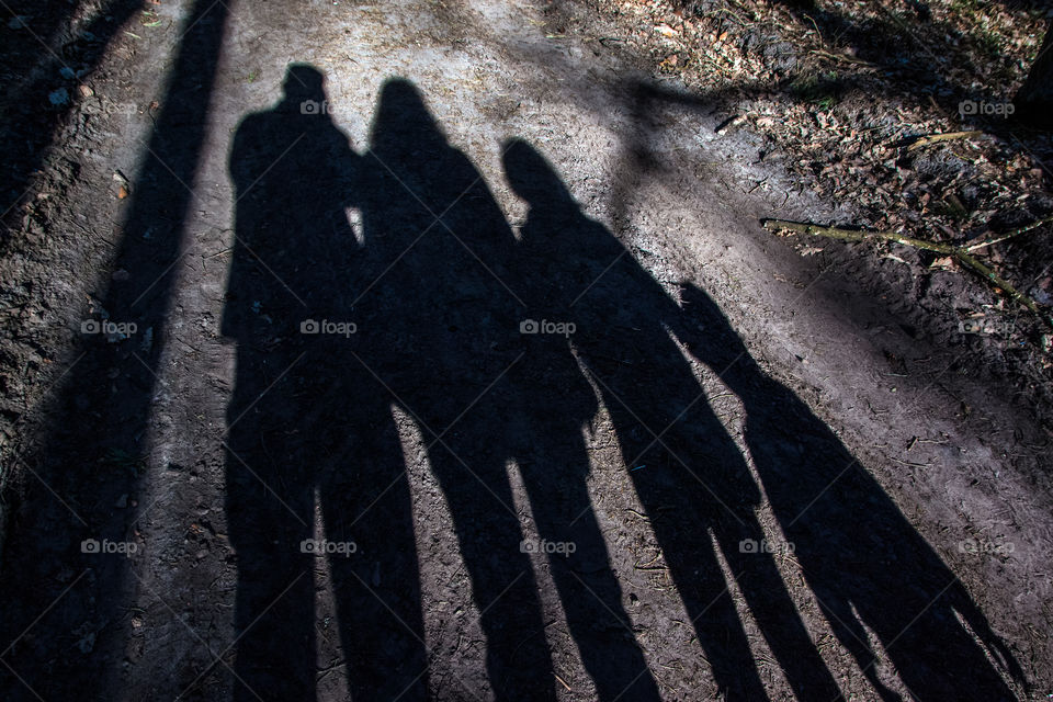 Family shadows on the walk in the forest 