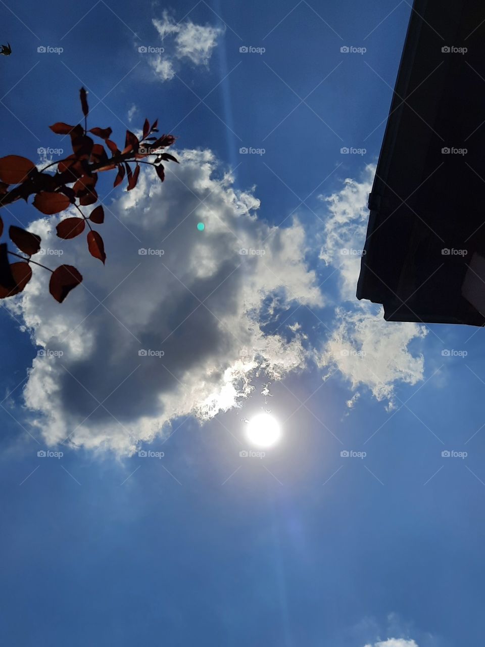 Cloud in my backyard