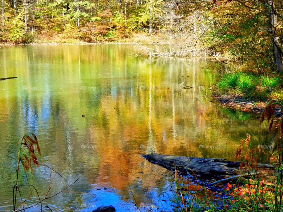 Beautiful Indiana fall lake view. 