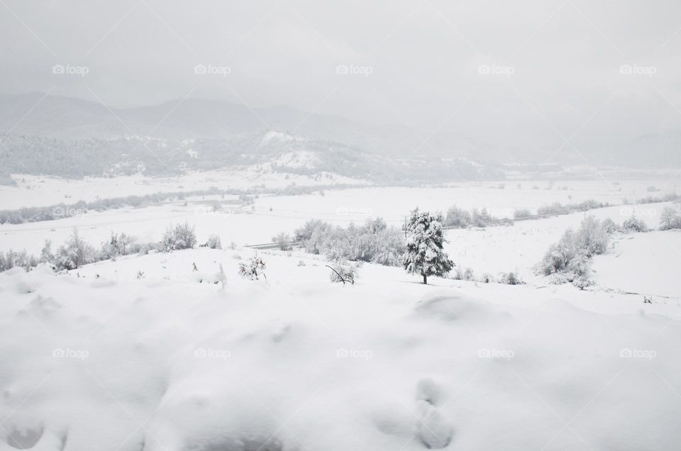 Winter landscape