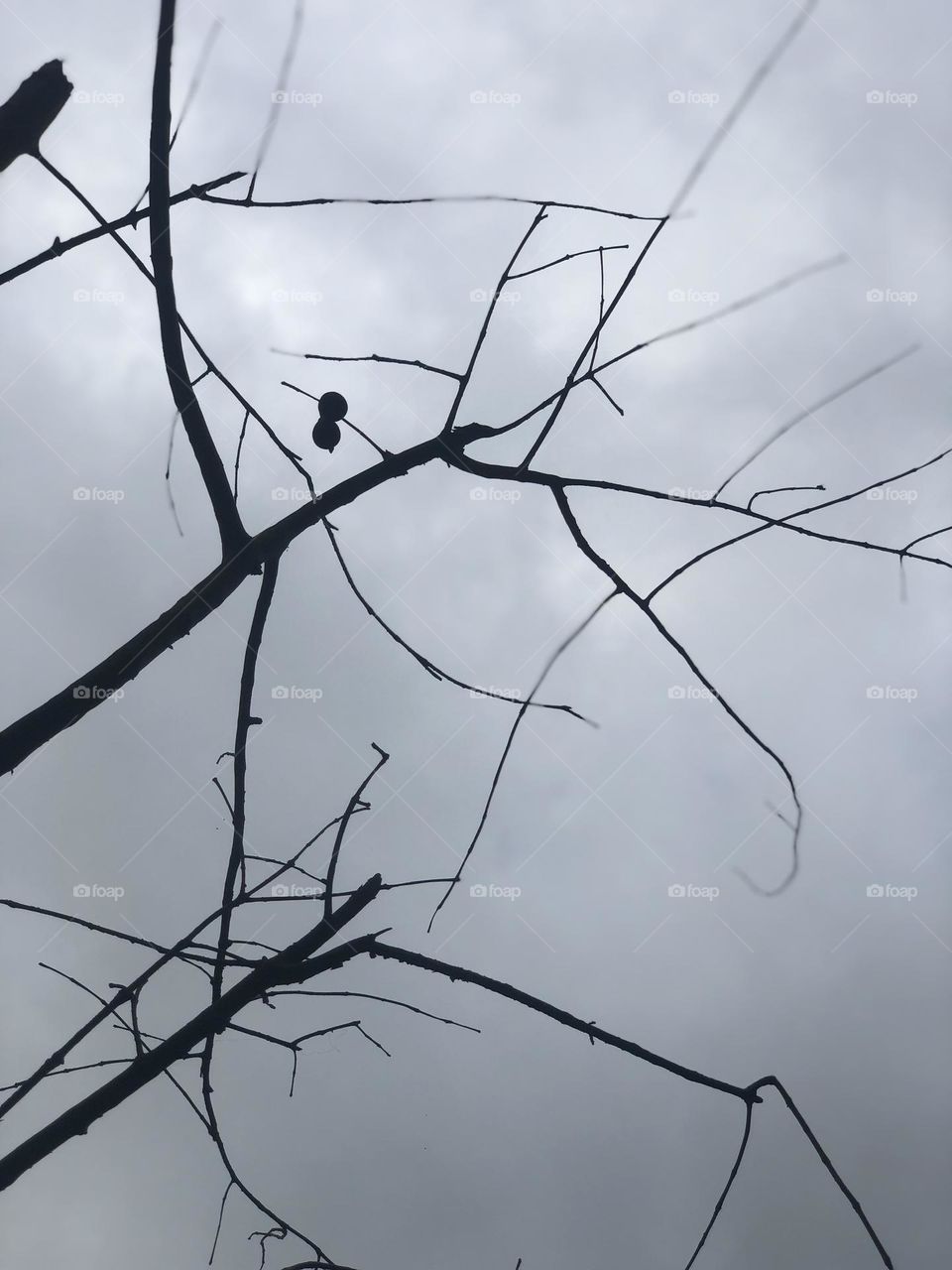 Dark sky with Dark colours