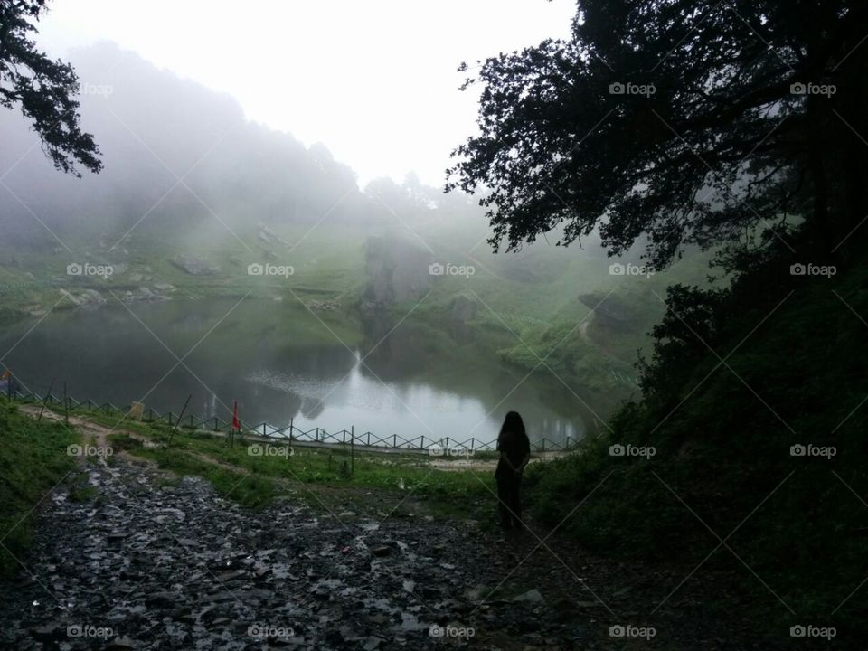 Misty morning 