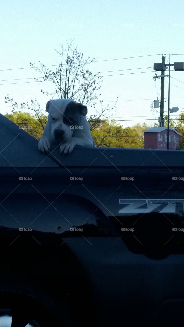 Will He Ever Return ?