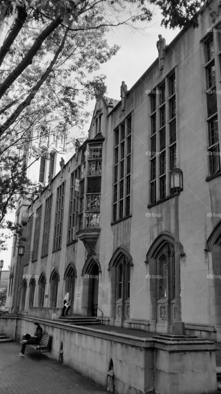 Building At University