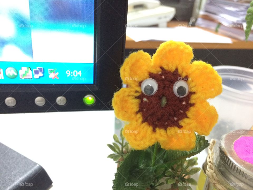 Sunflower in office 