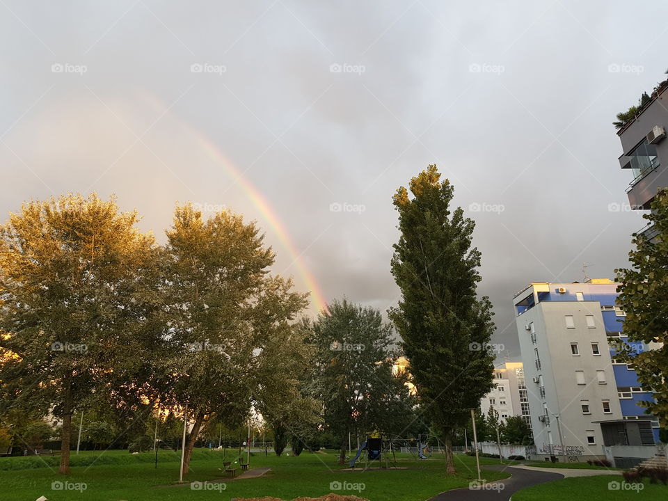 Rainbow above park