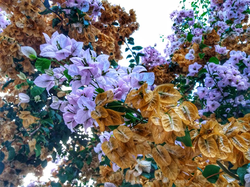 When summer leaves, everything's getting darker!