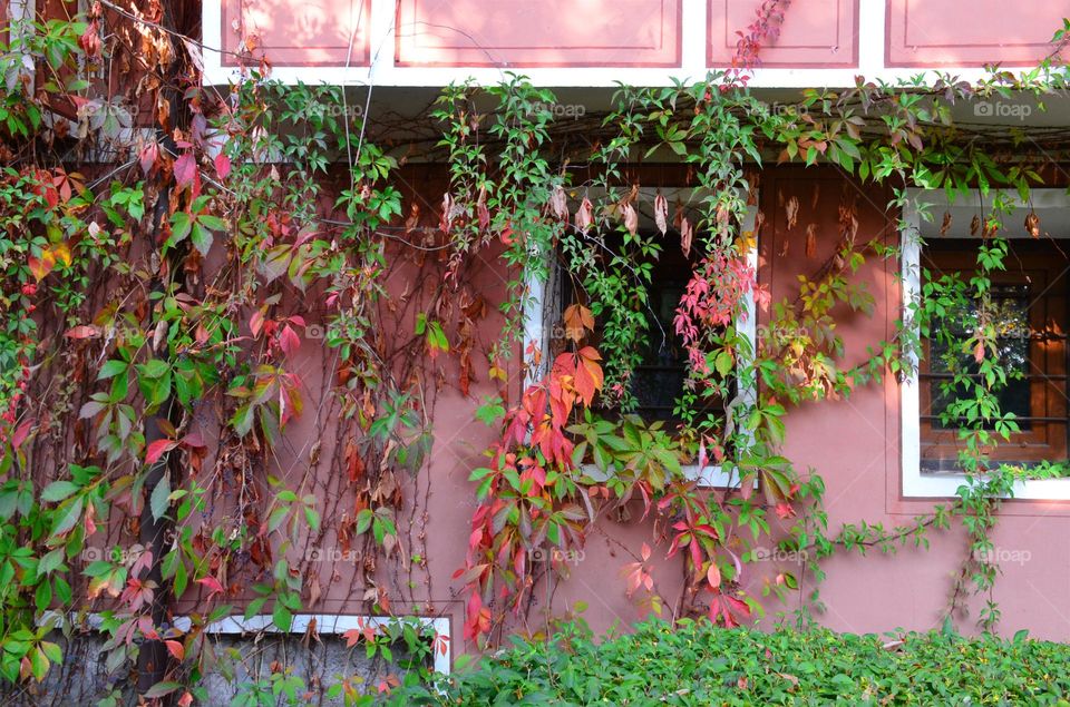 Autumn City Landscape