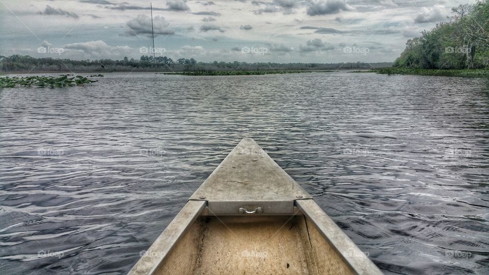 View from Canoe