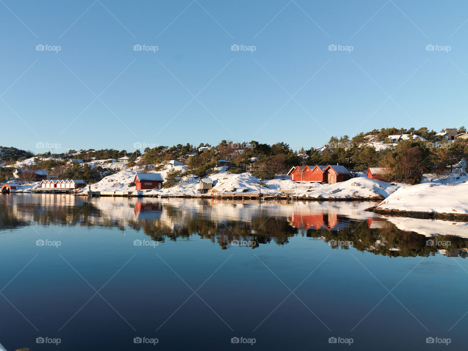 Frozen Shoreline