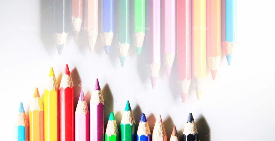 color pencil. row of color pencil