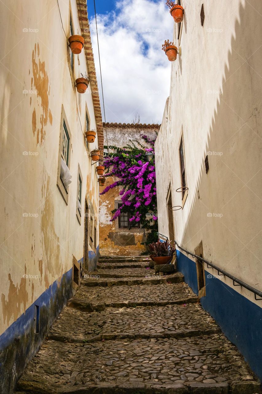 Flowers in the city