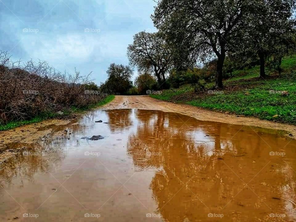 A trip in the beautiful winter nature