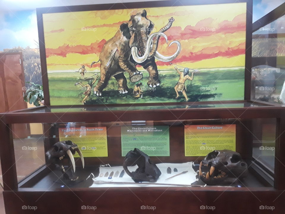 elephant Museum