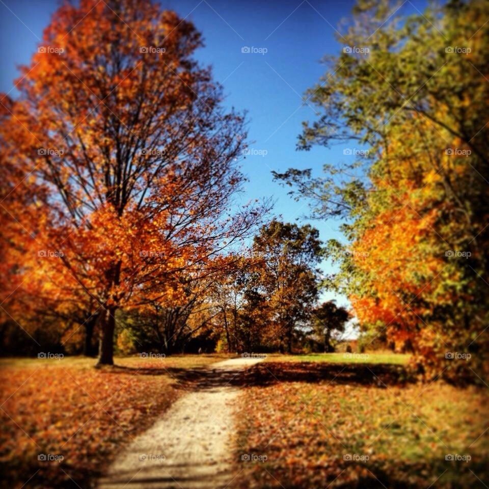 Fall hike
