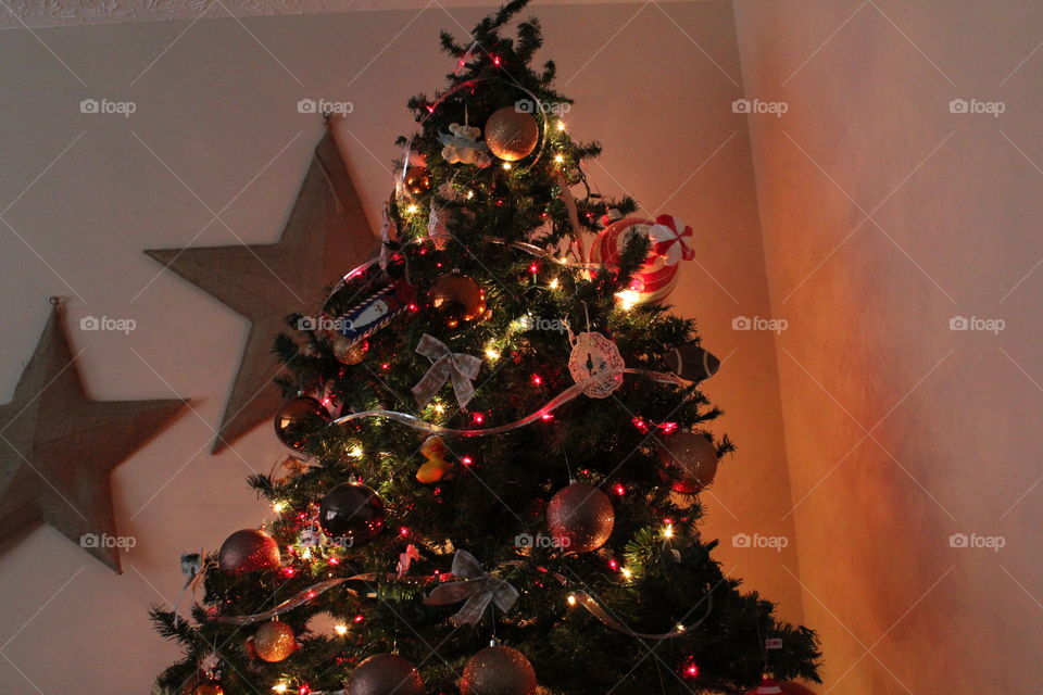 the Christmas tree