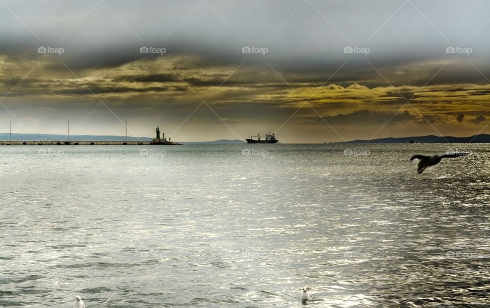 Beautiful Split harbour