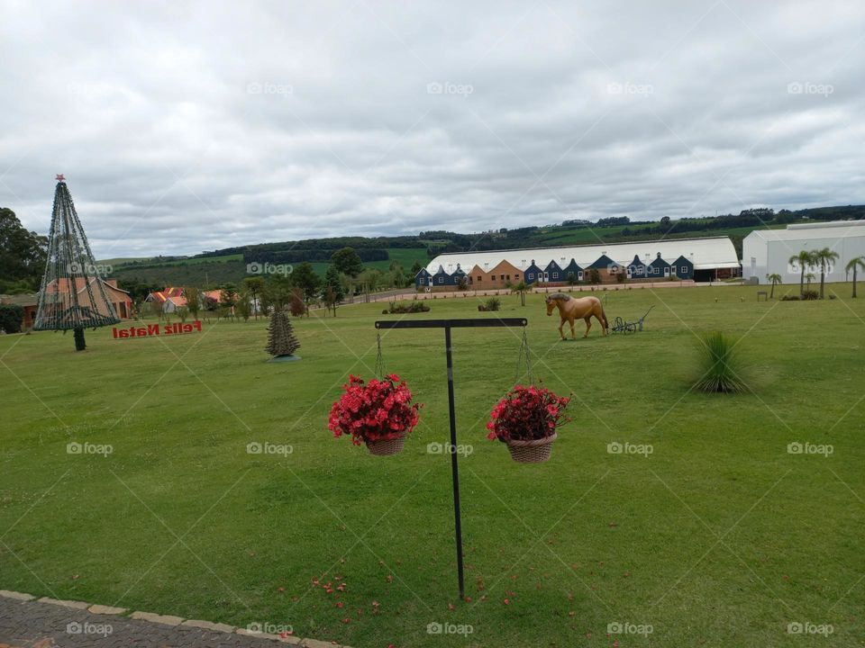 Simplesmente lindo 💚