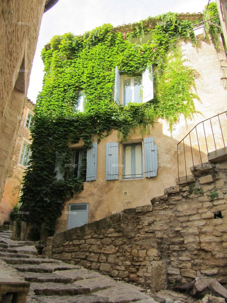 Plants in Gordes