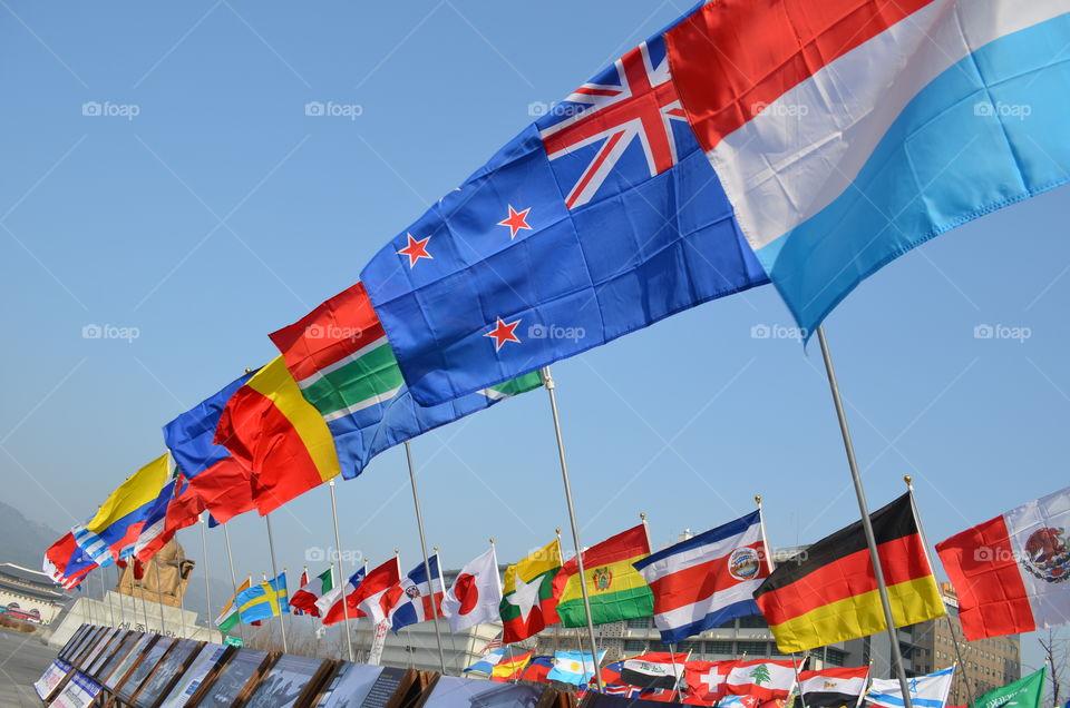 Flags in Seoul
