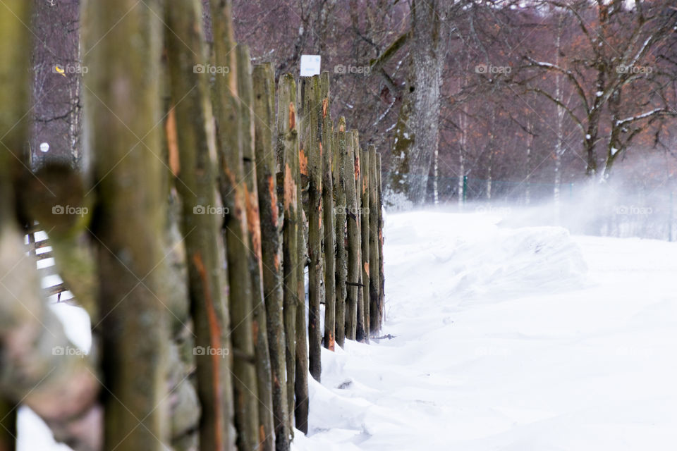 blowing snow drifting through an old, traditional, handmade fence on a Swedish landscape