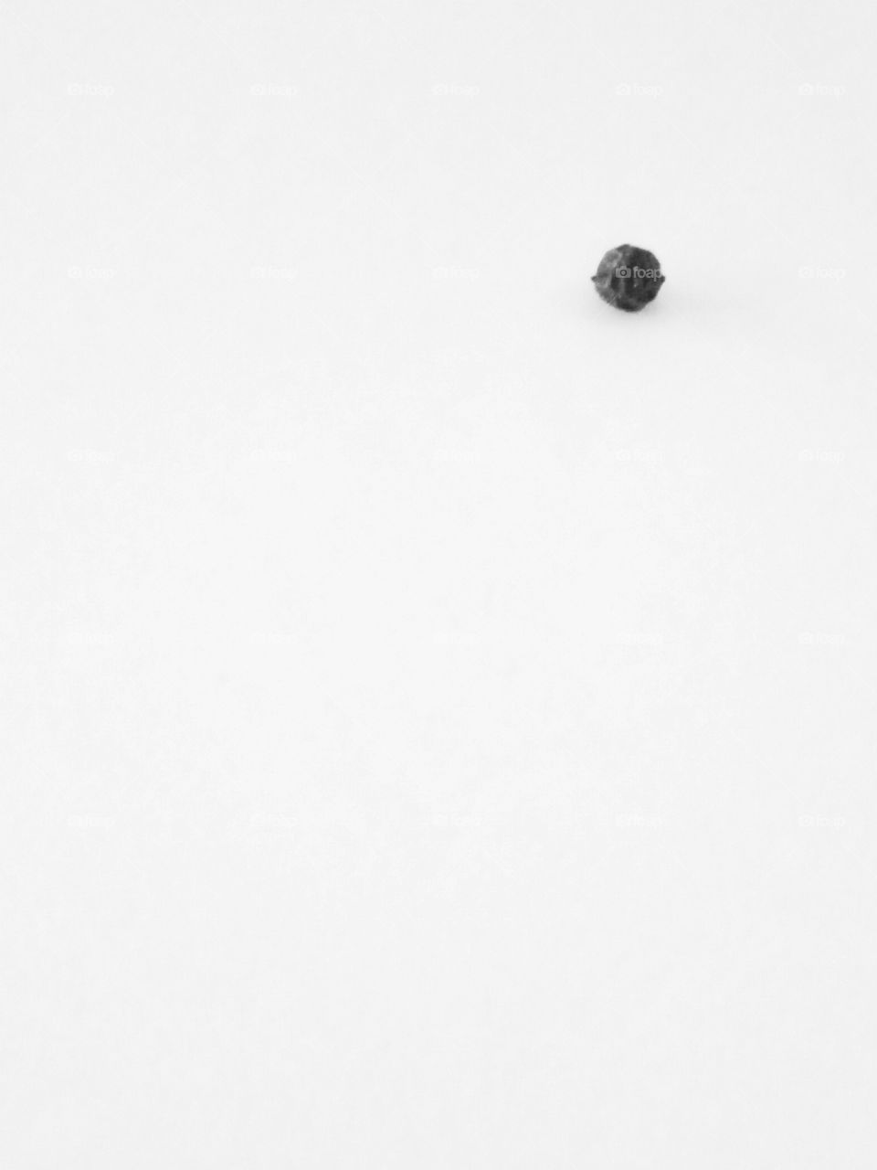 A little black on white